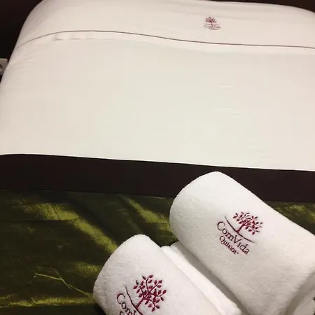 Comvida 3* 基亚尤什