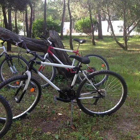 Ξενοδοχείο Comvida Quiaios